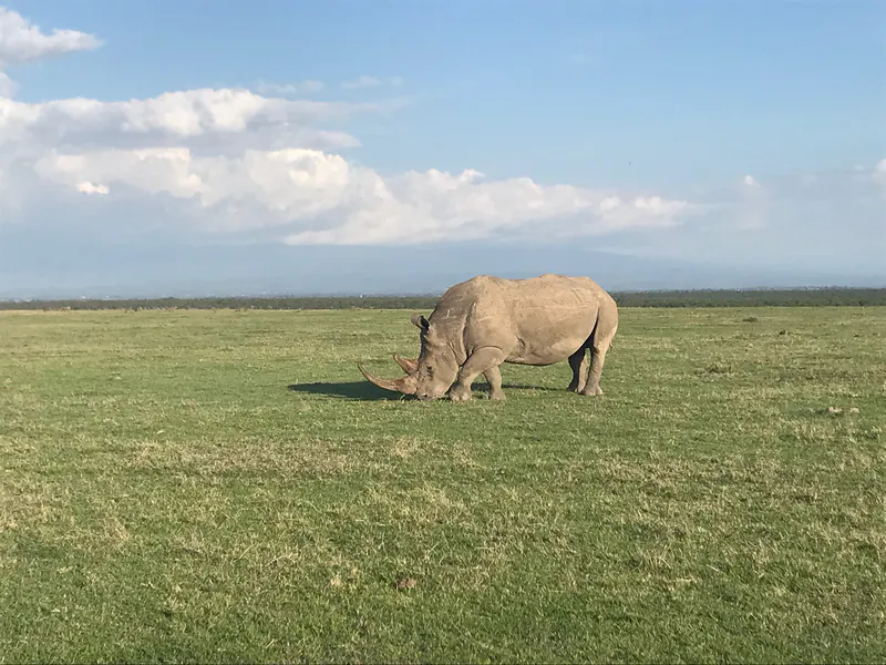 8-Day Incredible Safari + Waterfall Hike & Cultural Immersion