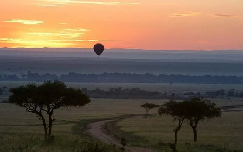 4 Days Masai Mara and Lake Nakuru Safari