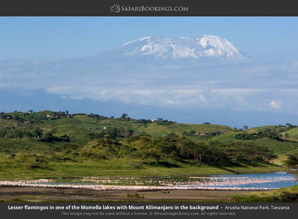 4-Day Explore Arusha NP, Tarangire, Ngorongoro & Manyara from Arusha