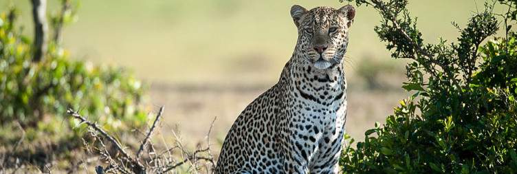 7-Day Lakes and Plains of Kenya Safari