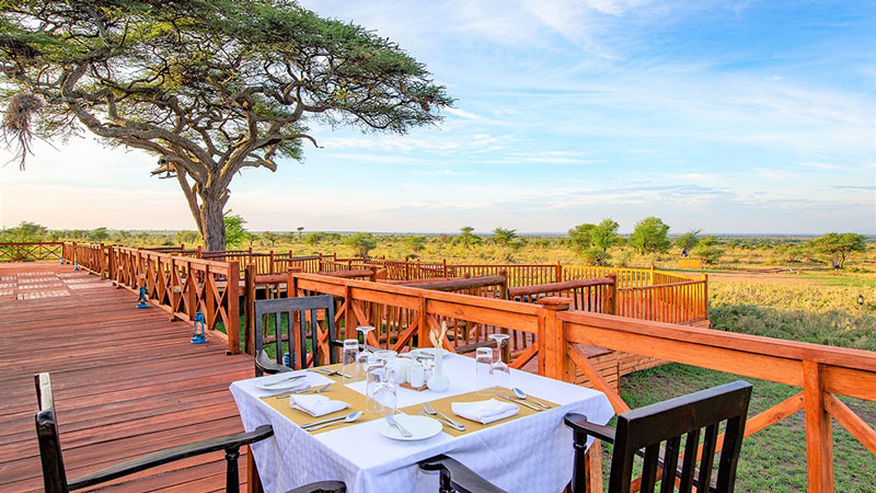 Acacia Serengeti Camp