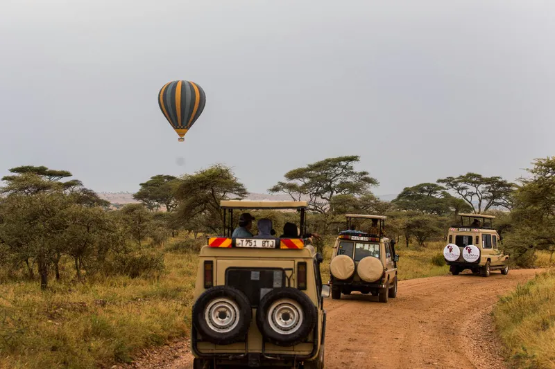 3-Day Best Serengeti Safari from Zanzibar Island