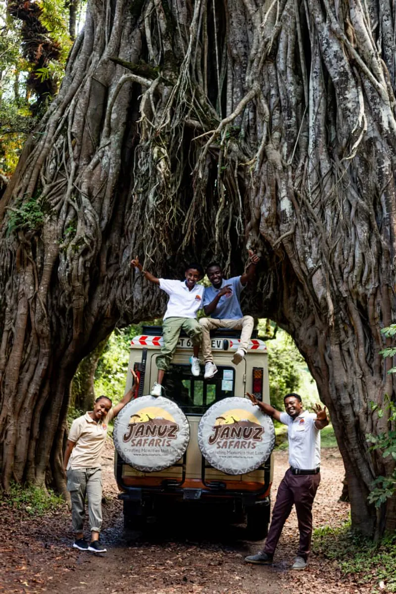 2-Day Fly in and out budget safari to Ngorongoro Crater &Tarangire