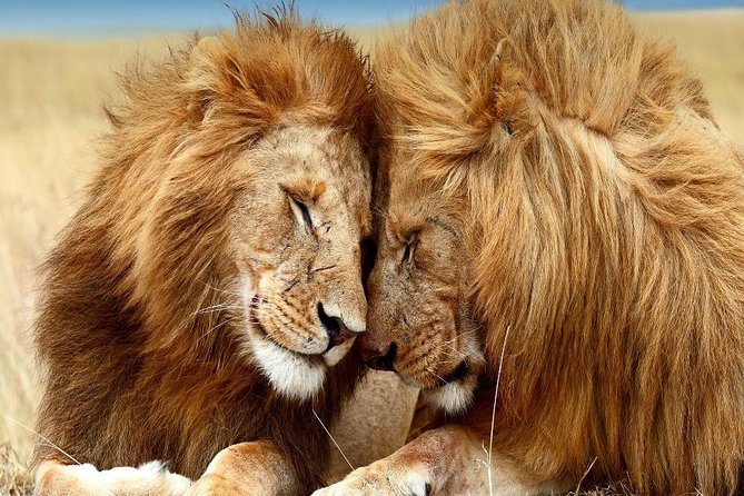 5 Days Safari Adventure (Tsavo East & West)