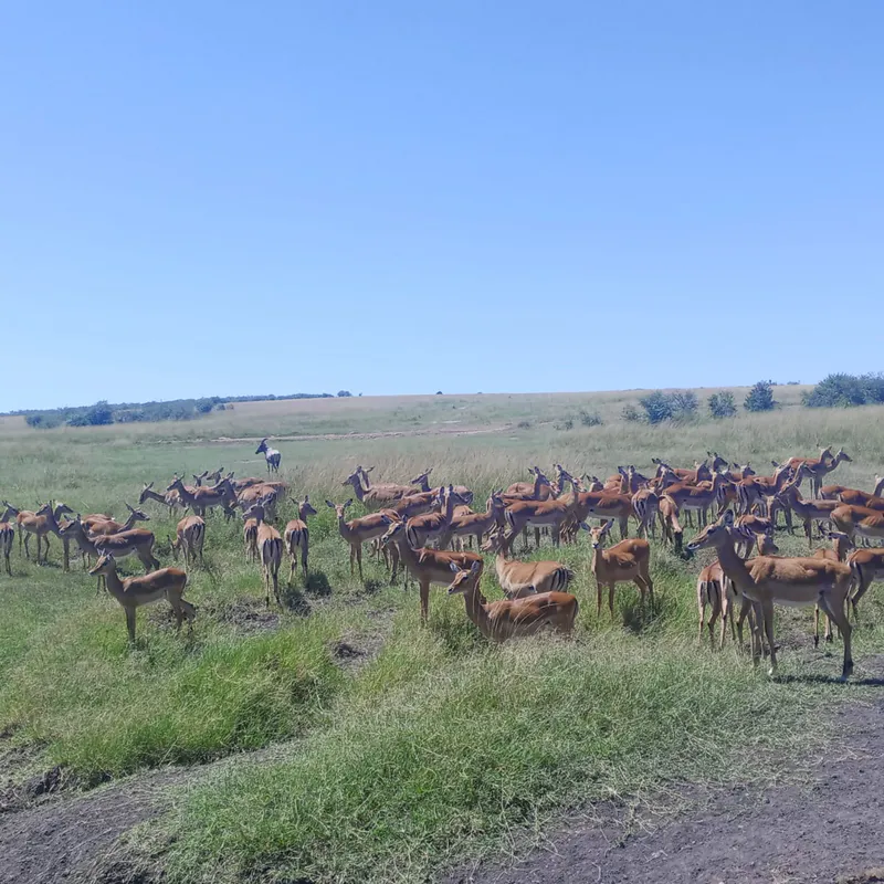 14 DAYS KENYA to TANZANIA