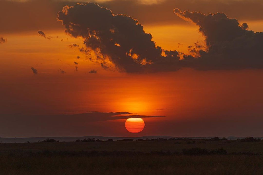 6 days unforgettable Trip Explore the Beauity of Tanzania