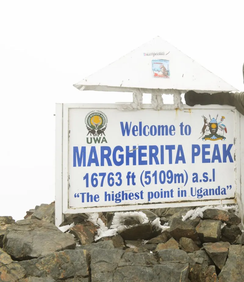 13-Day Rwenzori Mountain and Bwindi Gorilla Safari