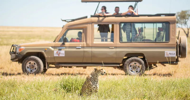 7 Day Luxury All-Inclusive Epic Safari