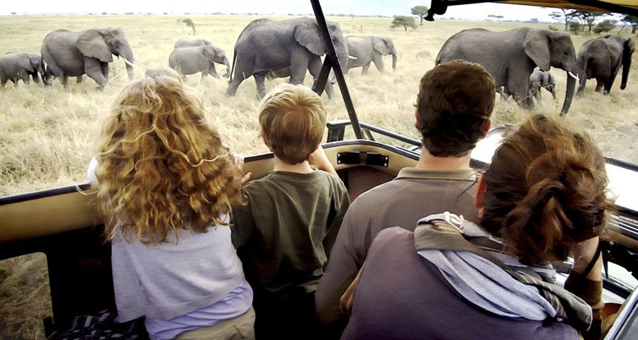 6 DAY OF EXPLORING THE WILDERNESS IN TANZANIA