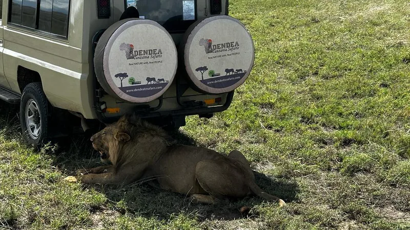 5 Days Mid-range Lodge Tanzania Adventures Safari