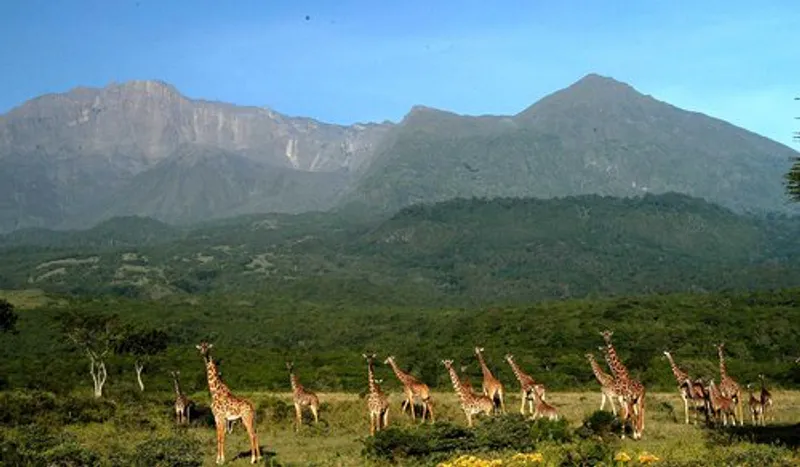 4-Day Mount Meru Trekking