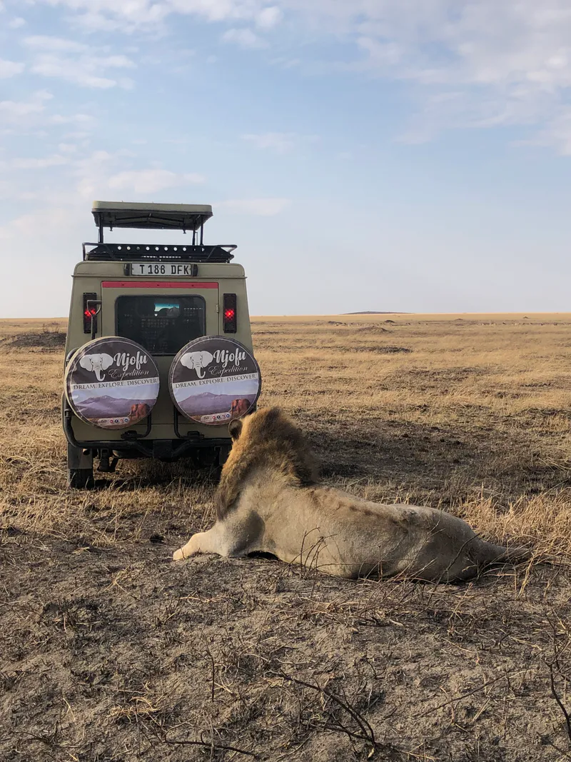 Luxury Africa Safari in Tanzania 10 Days