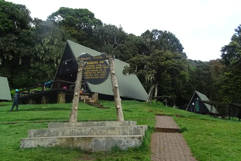 6 Day Marangu Route: Kilimanjaaro Climbing