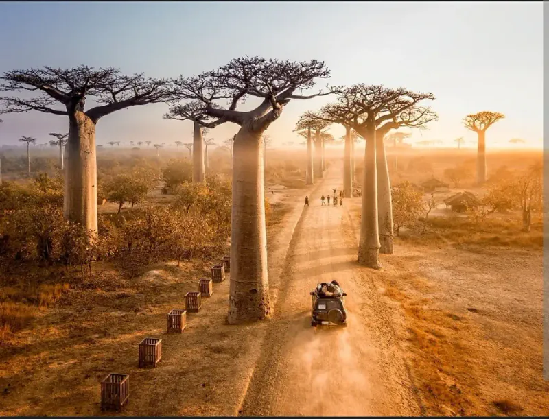 6-day Baobabs - Wildlife and Adventure