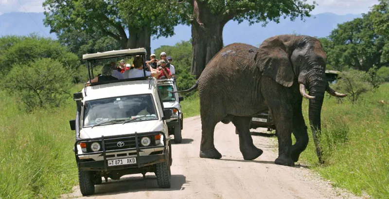 5-Day Mid Range Comfortable Safari Northern Circuit