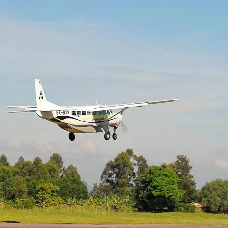 3-Day Fly-in Trip to Bwindi Gorilla Trekking