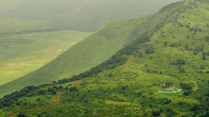 Rhino Lodge