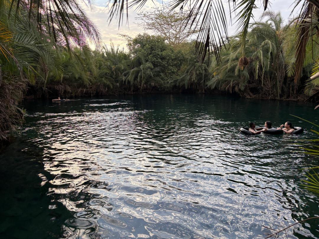 1day private trip Materuni Waterfalls, Coffee & Chemka Hot Springs