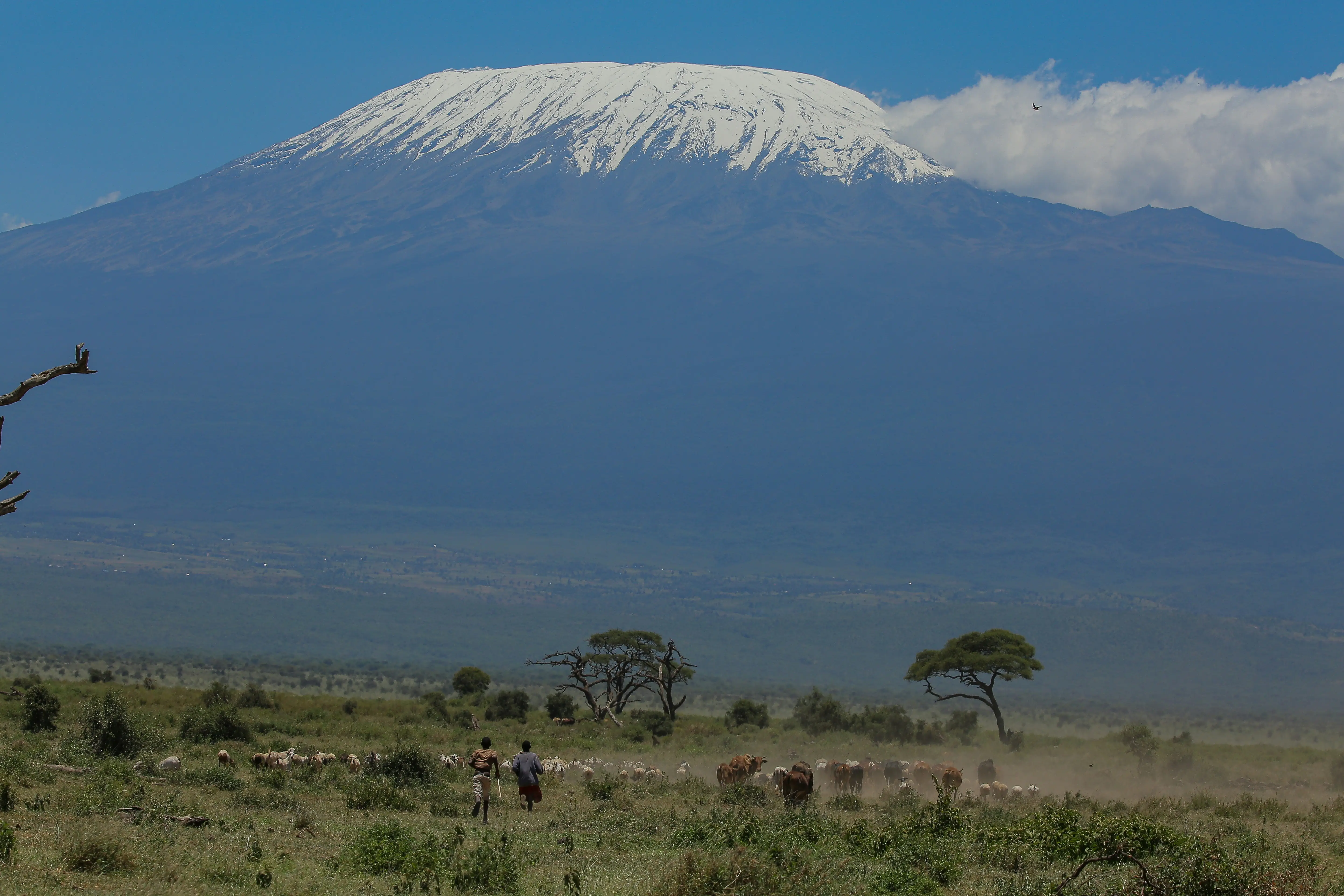 3-Day Classic Amboseli Private Safari