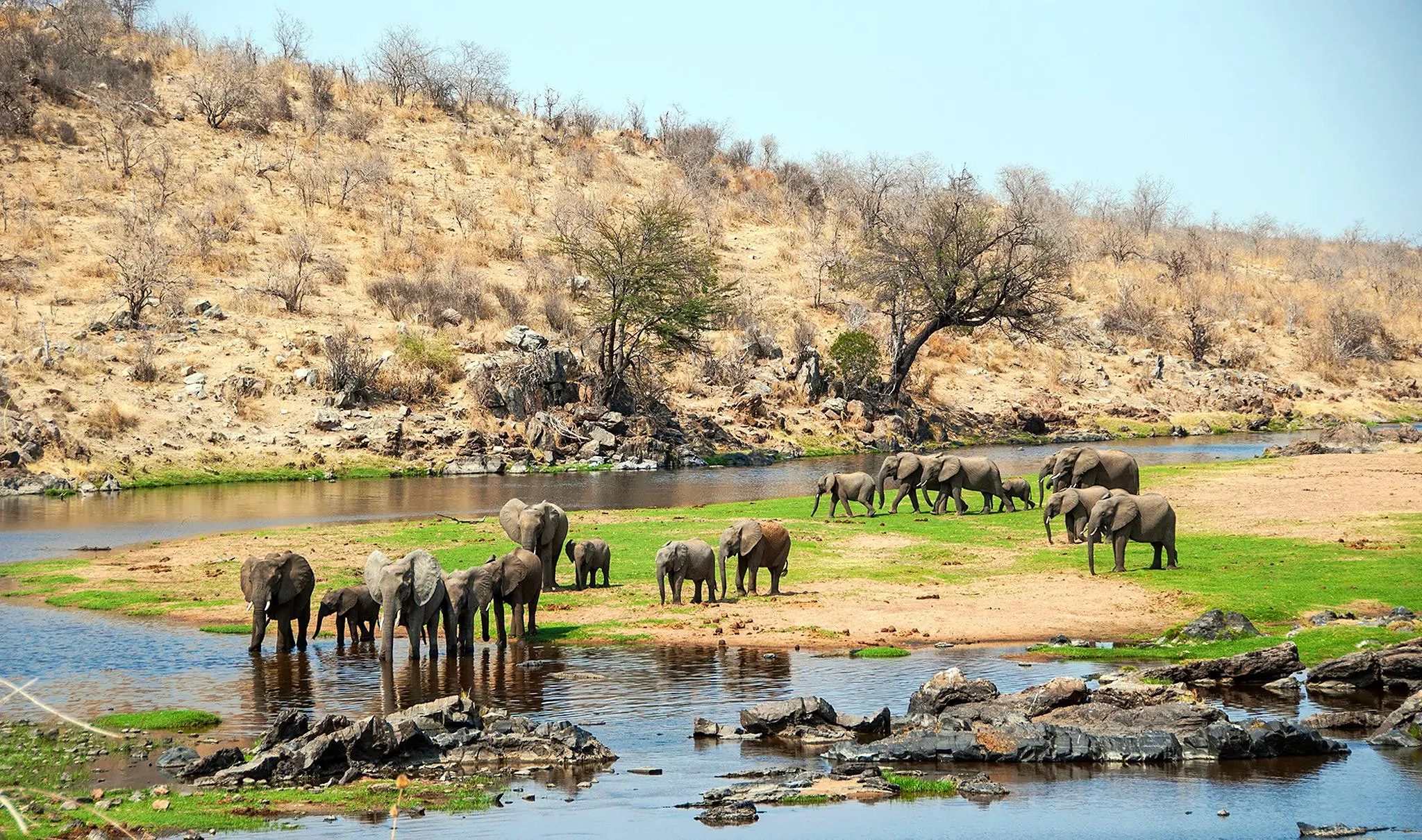 7 Days Wild At Heart In Southern Tanzania
