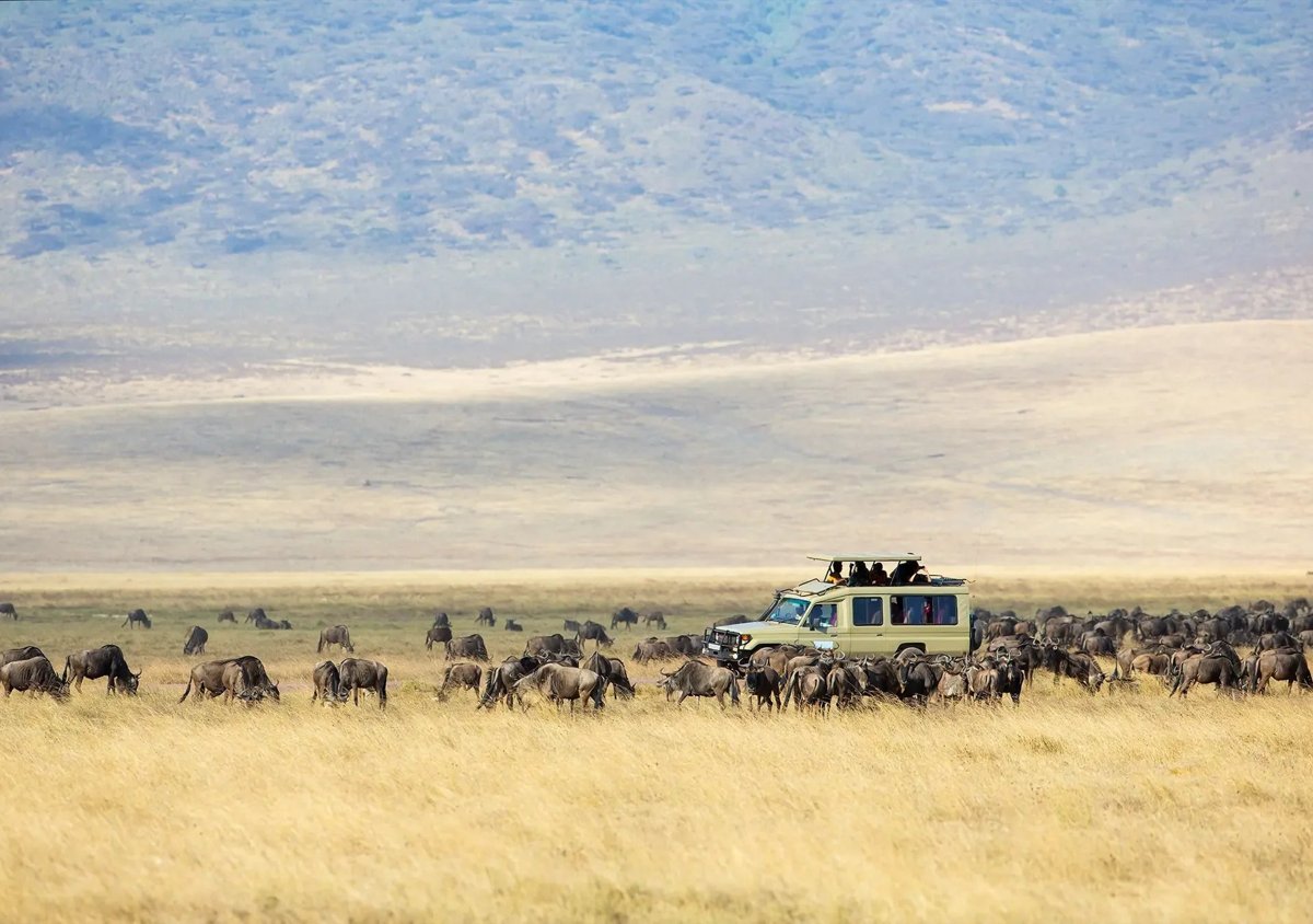 Ngorongoro Crater Day Trip from Arusha