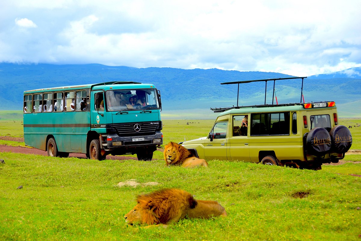 5-Day Serengeti & Ngorongoro Crater Camping Safari