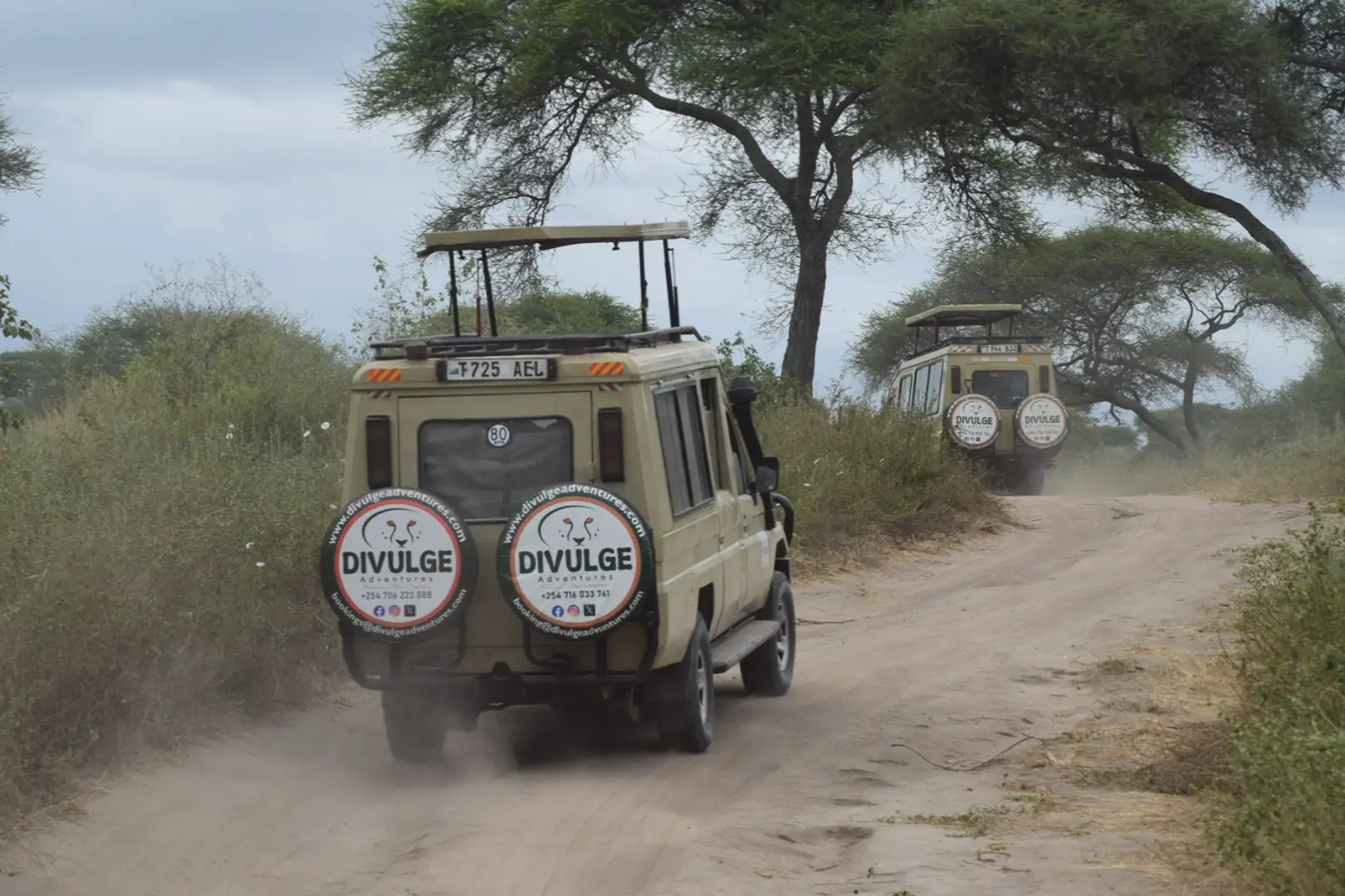 6-Day Tarangire, Serengeti and Ngorongoro Crater Midrange Safari
