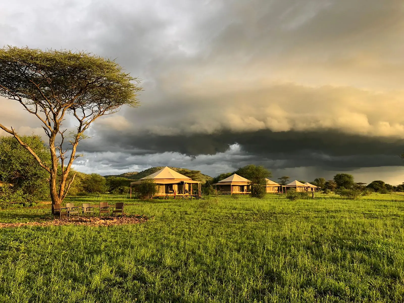 7 Days Best Tanzania Luxury Safari