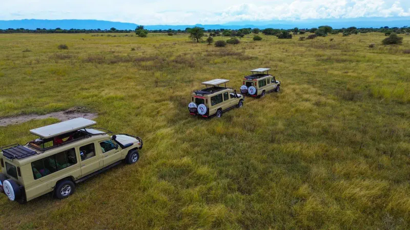 2-Days Unforgettable Wildlife Safari in the Masai Mara National Reserve