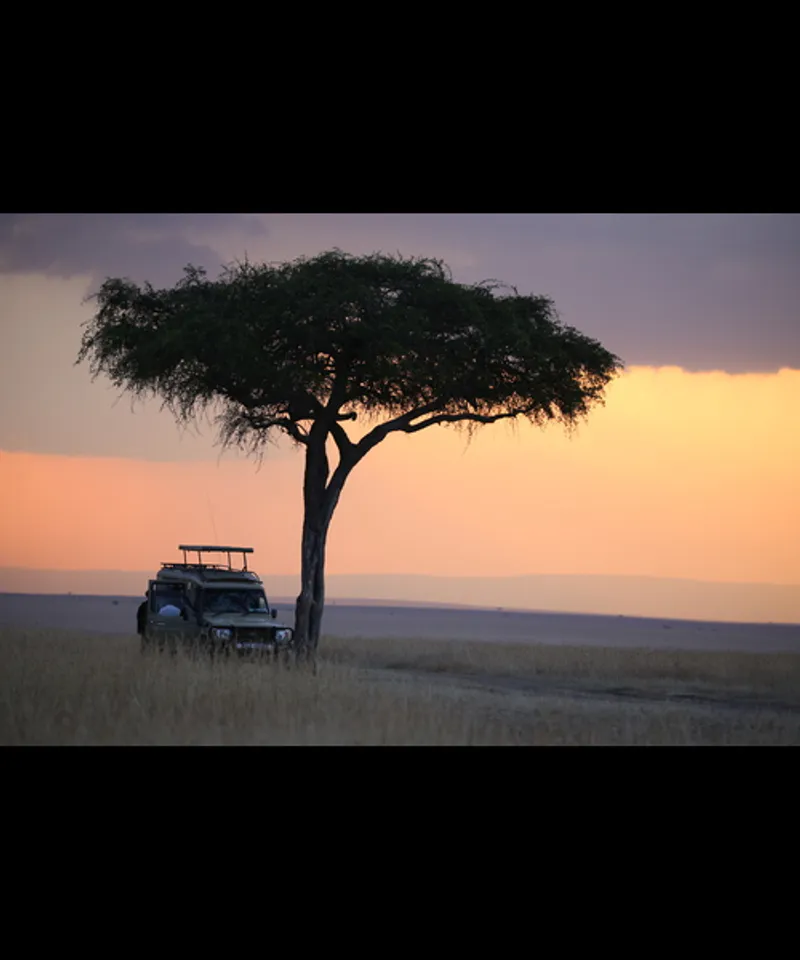 3 Day Maasai Mara Safari Kenya | Mid Range | Group Joining