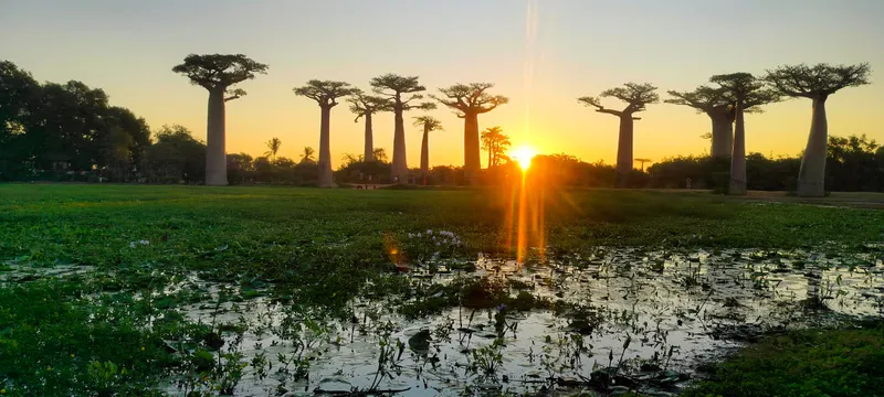 7-Day Baobabs - Wildlife and Adventure