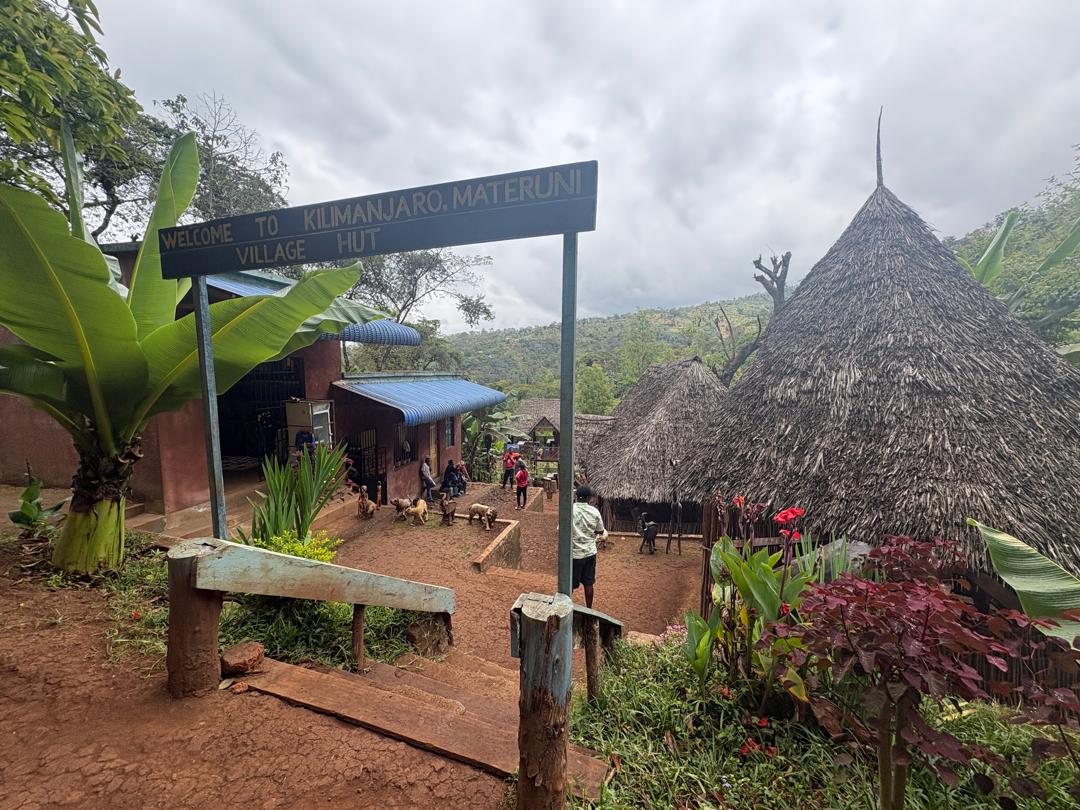 1day private trip Materuni Waterfalls, Coffee & Chemka Hot Springs