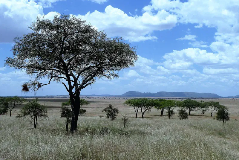 3Days_2Nights Midrange_Serengeti & Ngorongoro Crater Tour