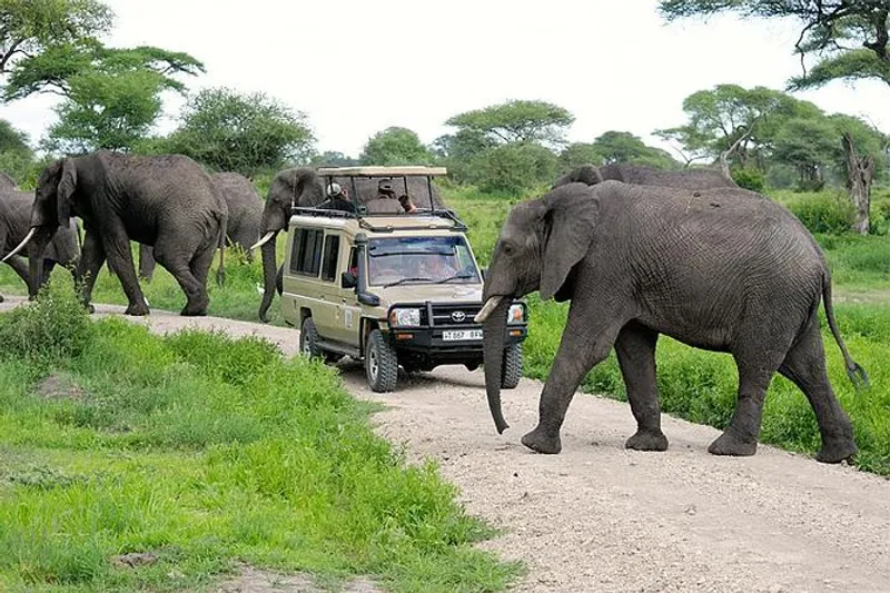 2 days_Private Budget Tour at Tarangire National Park and Ngorongoro Crater