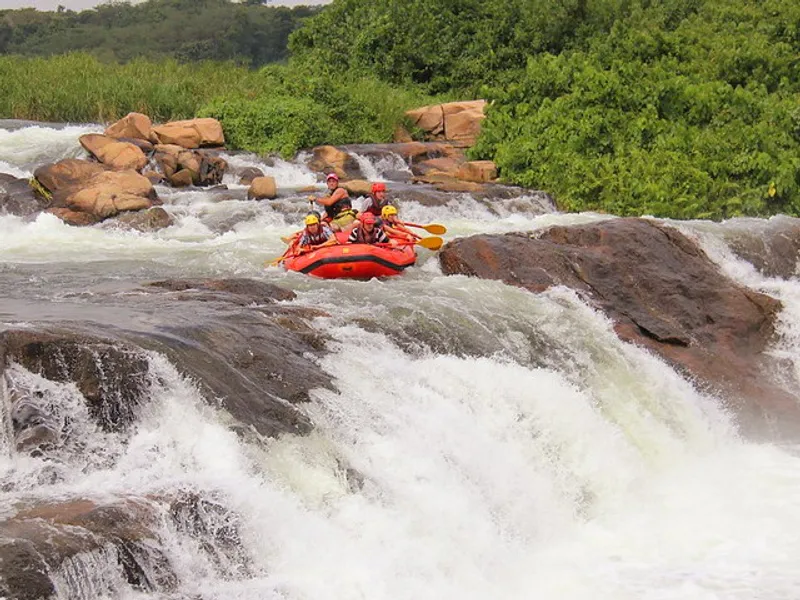 8-Day Adventure-Gorilla Trekking, and Rafting in Uganda