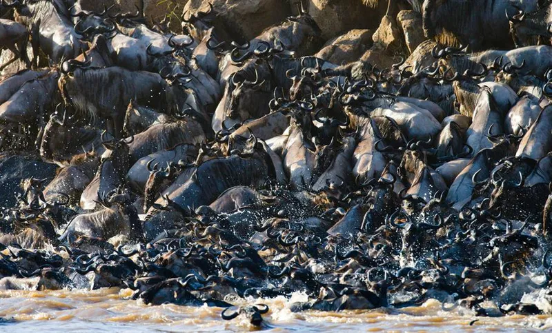 6-Day Tanzania Great Migration Safari