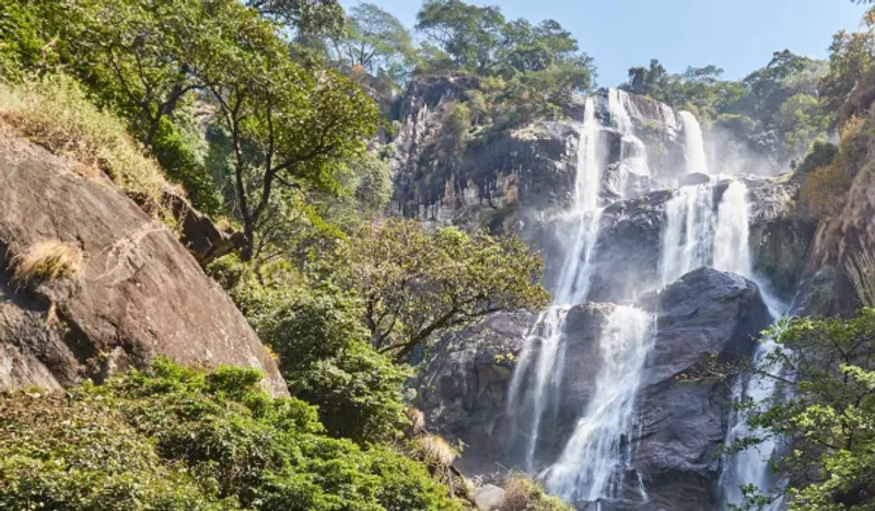 5 Day Adventure Through Southern Tanzania