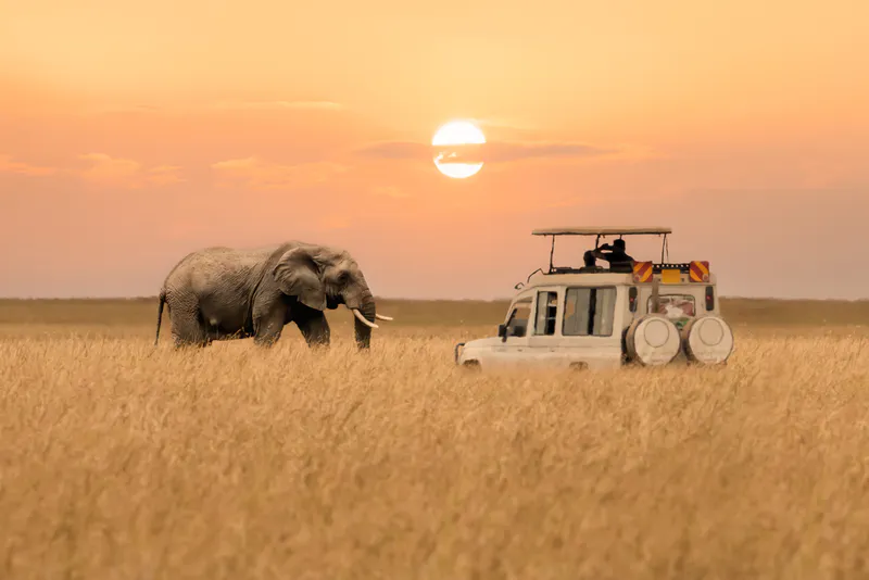 10 Days Kenya & Tanzania Great Migration Safari