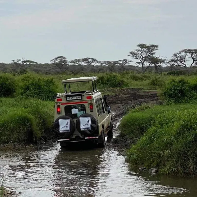 3 Days Safari Ngorongoro Crater, Tarangire & Lake Manyara