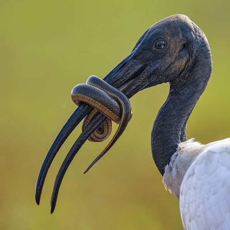 3 Day - Tarangire NP, Lake Manyara National Park and Materuni Waterfalls