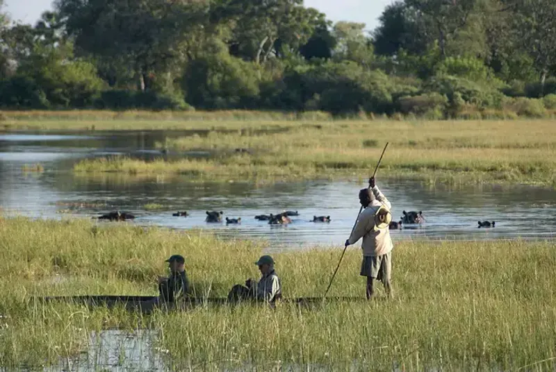 Deep in Okavango Delta