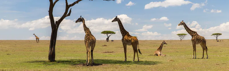 5-Day Tanzania Low Season Safari