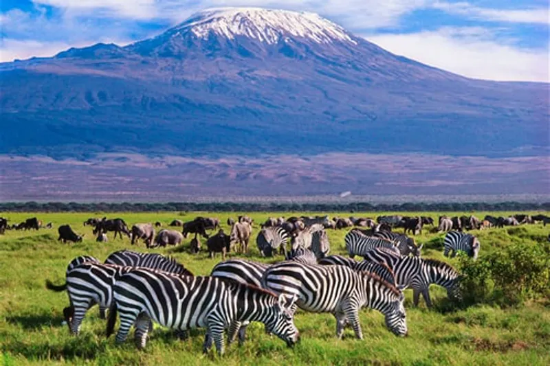 7-Days Maasai Mara ,Nakuru, naivasha and Amboseli Midrange safari.