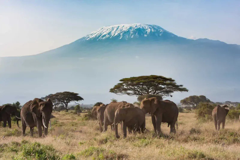 3 Day Amboseli National Park Private Safari