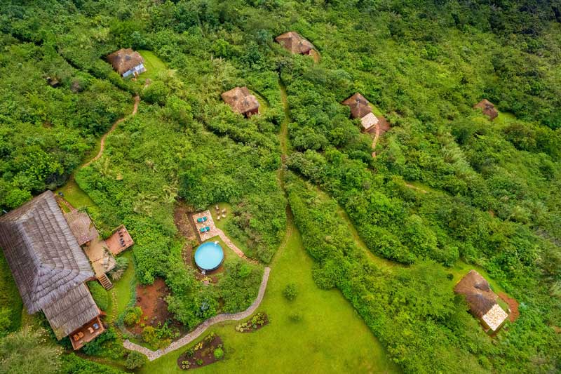Turaco Treetops Lodge