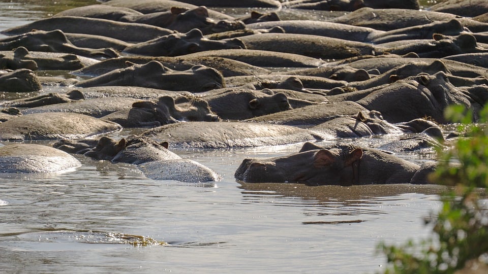 3-Day Group Tour to Serengeti & Ngorongoro