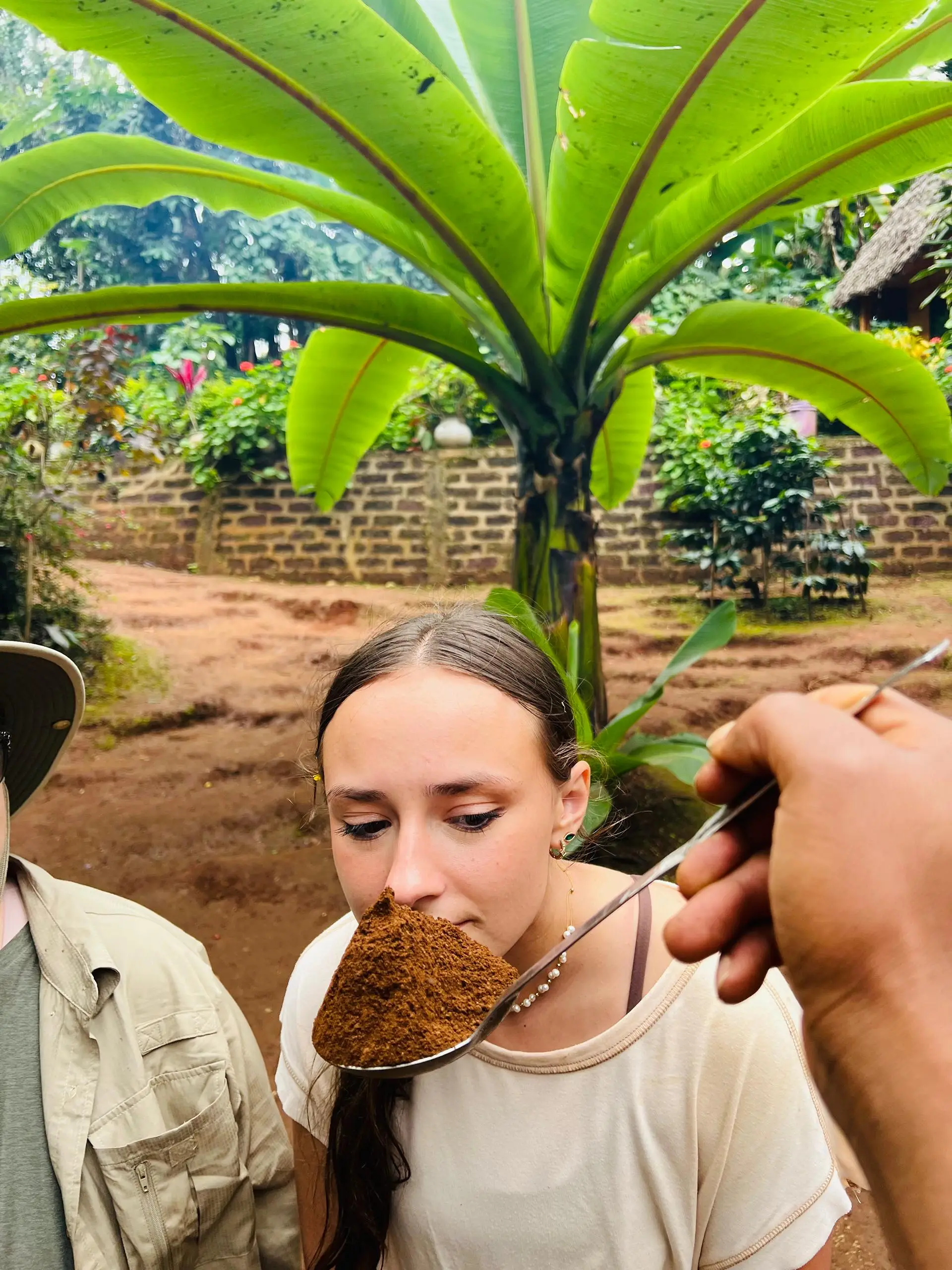3-Day Materuni, Tarangire &Ngorongoro Safari from Arusha