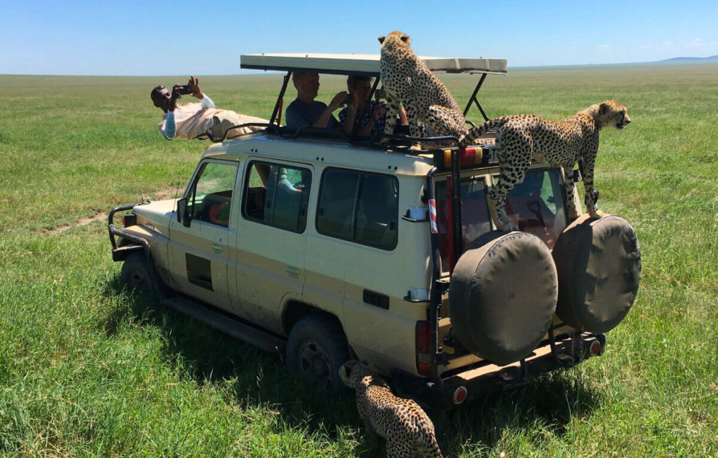 Safari to Beach Expedition – 12 Days Kenya, Tanzania & Zanzibar