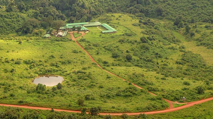 Rhino Lodge
