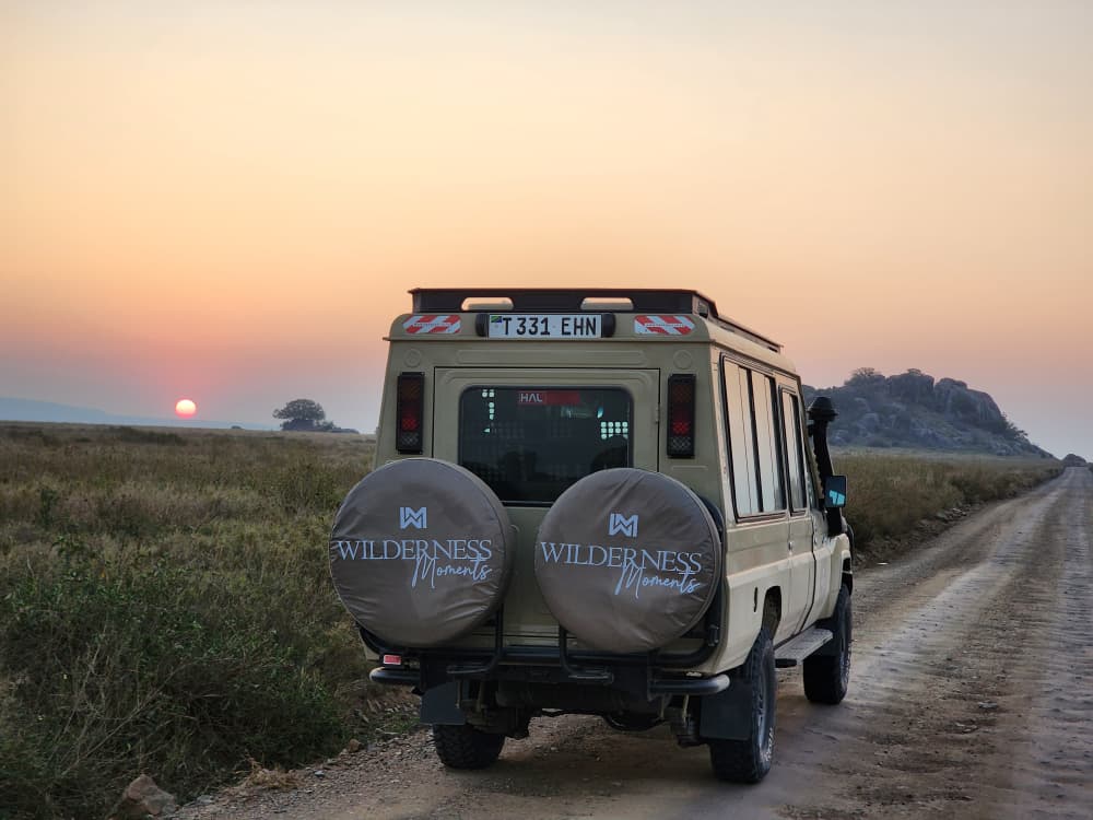 2-Day Safari Zanzibar to Nyerere National Park